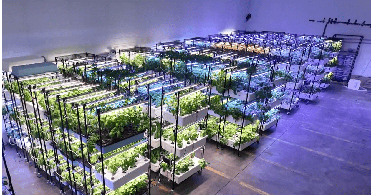 SkyAcres large-scale growing facility in Kelowna, BC